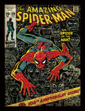 Marvel Comics Spider-Man (100th Anniversary) Wooden Framed 30 x 40cm Print - FP11589P