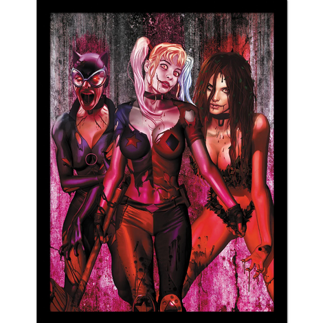DC Comics (Girls Deceased) Wooden Framed 30x40cm Print - FP14379P