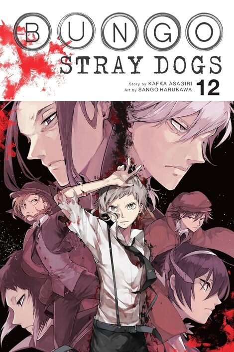 Bungo Stray Dogs, Vol. 12 