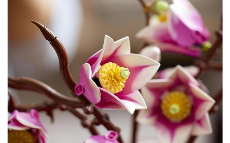 LEGO Botanical Magnolia Branches - 11510