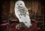 Harry Potter Hedwig Sculpture (Harry Potter) - NN7876