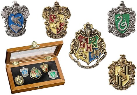 Harry Poter Hogwarts House Pins- NN7374
