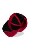 Bleach Snapback Cap Ichigo - SB751567BCH- One Size