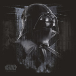 Star Wars (Darth Vader Black) Canvas Print 40 x 40cm - DC95717