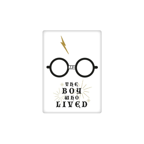Harry Potter Metal Magnet Boy Who Lived - MAGMHP46