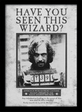 Harry Potter (Sirius Wanted) Wooden Framed Print (30x40) - FP10611P