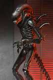 Alien: Romulus Action Figure Ultimate Xenomorph XX121 18 cm - NECA51742-01 