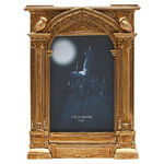 Harry Potter Hogwarts Gold Photo Frame - WB220