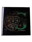 Harry Potter - Slytherin Celestial Crystal Clear Resin/MDF 32 x 32 - B5637T1