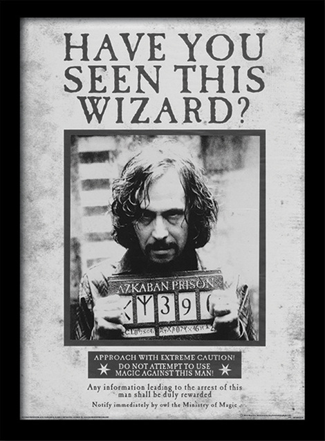 Harry Potter (Sirius Wanted) Wooden Framed Print (30x40) - FP10611P