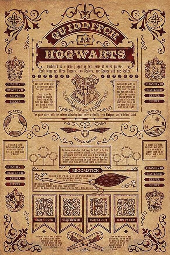 Harry Potter (Quidditch at Hogwarts) Canvas 60 x 80 cm - DC99975