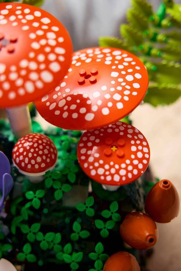 LEGO Woodland Mushrooms - 11505